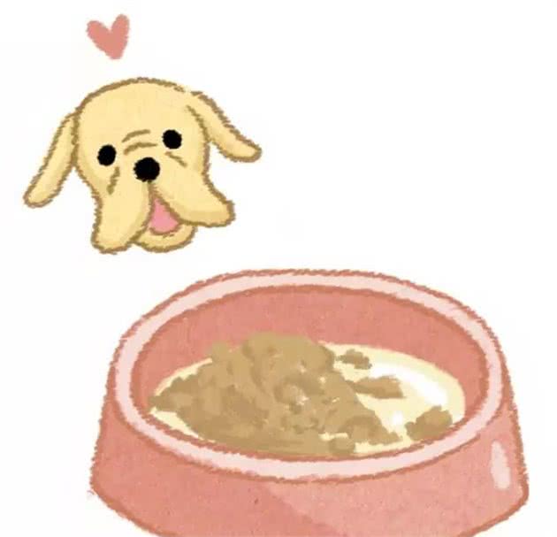 喂狗粮时一定要注意这些，多少主人在这里踩坑……