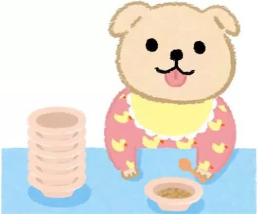 喂狗粮时一定要注意这些，多少主人在这里踩坑……