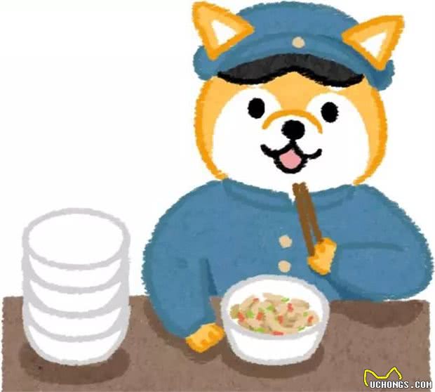 喂狗粮时一定要注意这些，多少主人在这里踩坑……