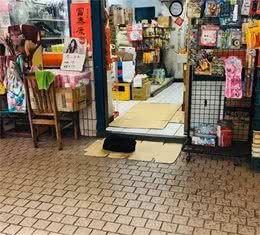 养了黑猫后，我的智商仿佛被碾压