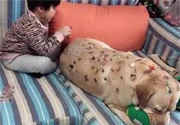 不上幼儿园的孩子在家里做什么？狗子苦不堪言，网友：“贵妇”犬