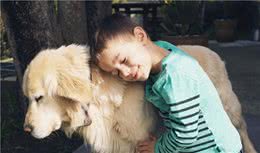 这几种小型犬，只要给它一口饭吃，就会对你死心塌地