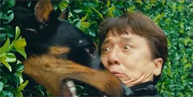 杜宾犬很“危险”，劝你不要养，都是过来人“血的教训”