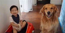 这几种拥有“吸狗体质”的人，天生招狗喜欢，太让人羡慕了