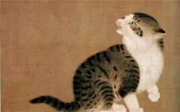 最爱猫的帝王：嘉靖和万历，爱猫不爱江山