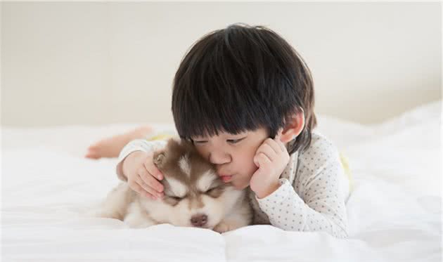 揭秘：为什么狗狗和小孩玩得来？两者间的“神奇关系”很有趣