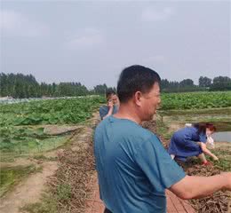 小幽默给狗备用的