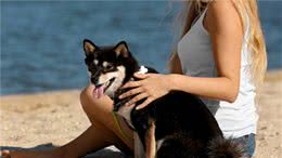 狗狗的脑袋里整天都在想什么呢？这几件事情，他们都会想