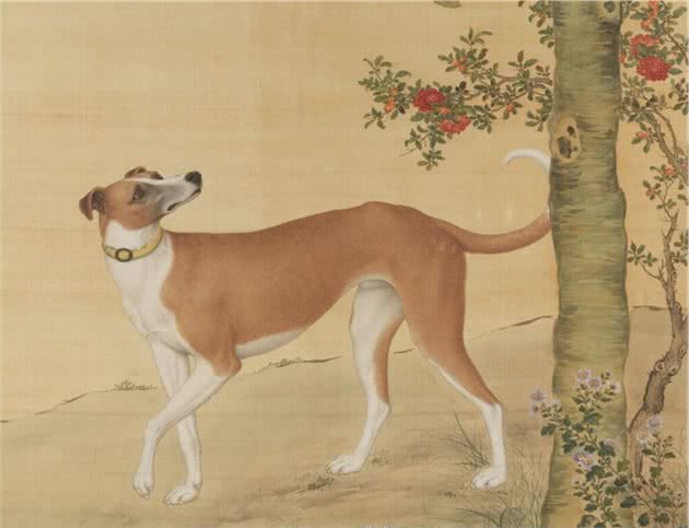 明代奇案：忠犬不顾性命，烈火中救主，公堂上咬出凶手