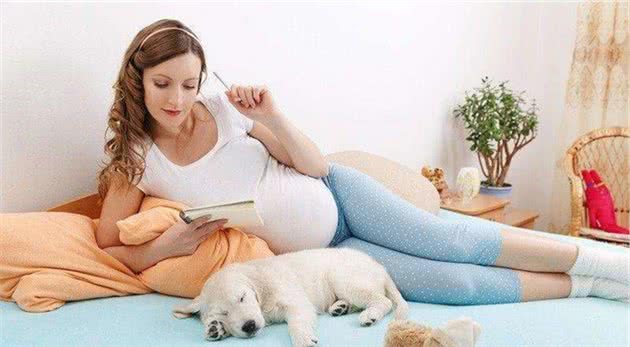 怀孕和养狗狗不冲突，这不是送养遗弃的理由