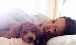 泰迪犬：你不知道的冷知识