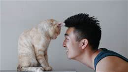 懒人养猫须知，四准备四购买三务必，助你成为喵咪的好伙伴