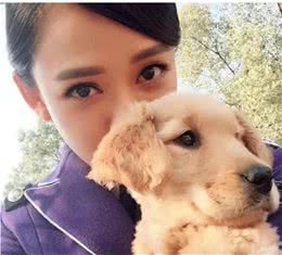 养了这么久金毛，各位铲屎官知道狗子的毛怎么正确打理吗？