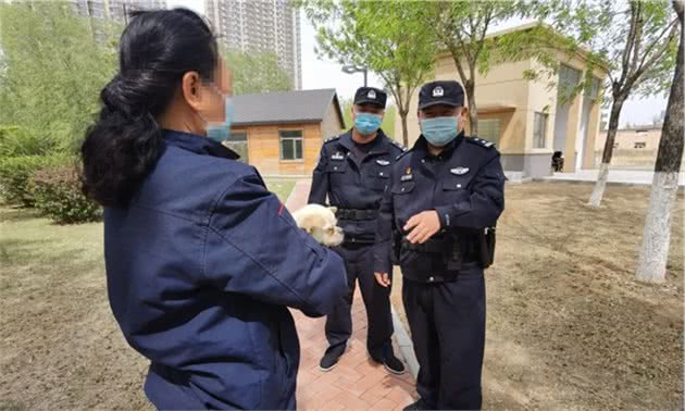 犬类专项整治进入监管处罚更严阶段！手把手教你办理犬证犬牌