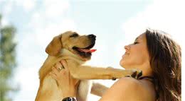 家有狗狗，请主人主动承担起这六个责任