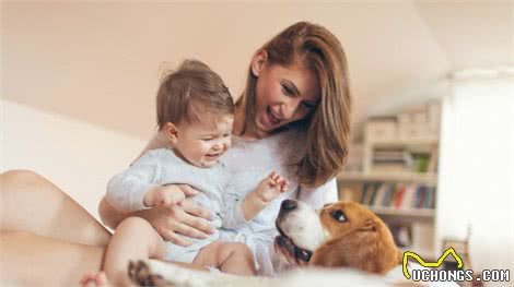 如何训练狗狗和学步期幼儿相处？信任狗狗，不代表可以不用管它们