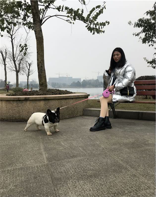 教您如何帮狗狗过炎热夏天