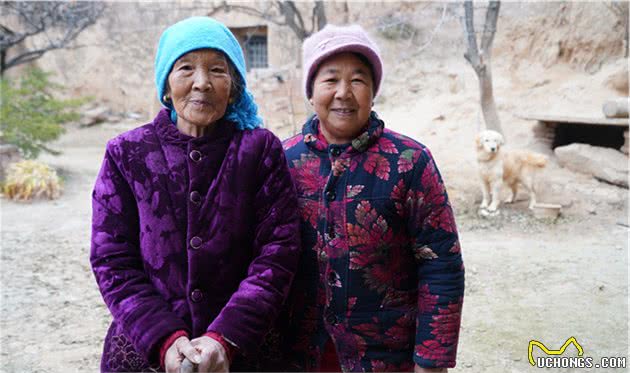 孙子送奶奶1个宠物犬，8旬老人用奶粉将它养大，能看家护院