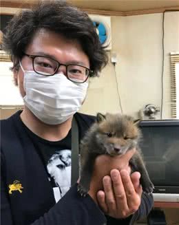 网友捡了只汪星人特可爱，后经大家提醒才发现原来它不是普通狗狗