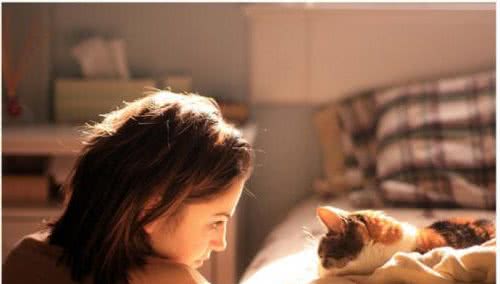 为什么宠物猫比土猫更亲人？原因挺无奈的