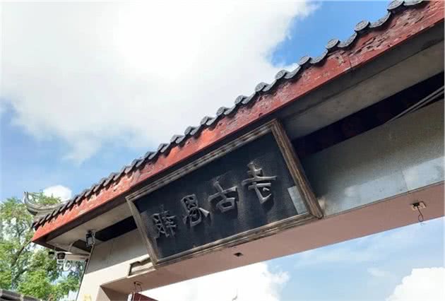 上海的一座古寺里，没有香火味，只有流浪猫狗的味道……