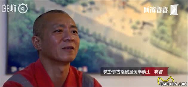 上海的一座古寺里，没有香火味，只有流浪猫狗的味道……