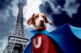 狗狗竟然拥有特异功能，你知道吗？