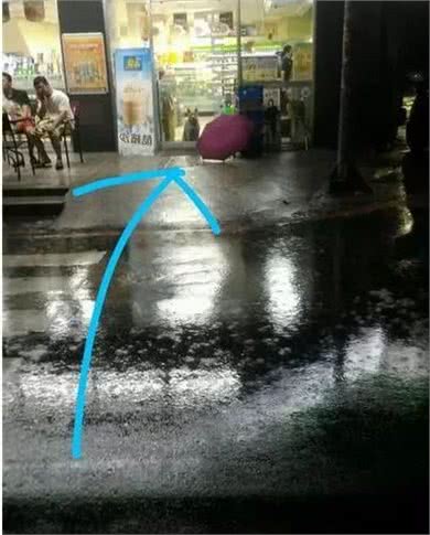 拉布拉多离家出走，回来时竟然带着一只狗和一只羊？