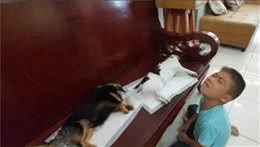 孩子发现狗狗死去后嚎啕大哭，父母却在一旁笑出声