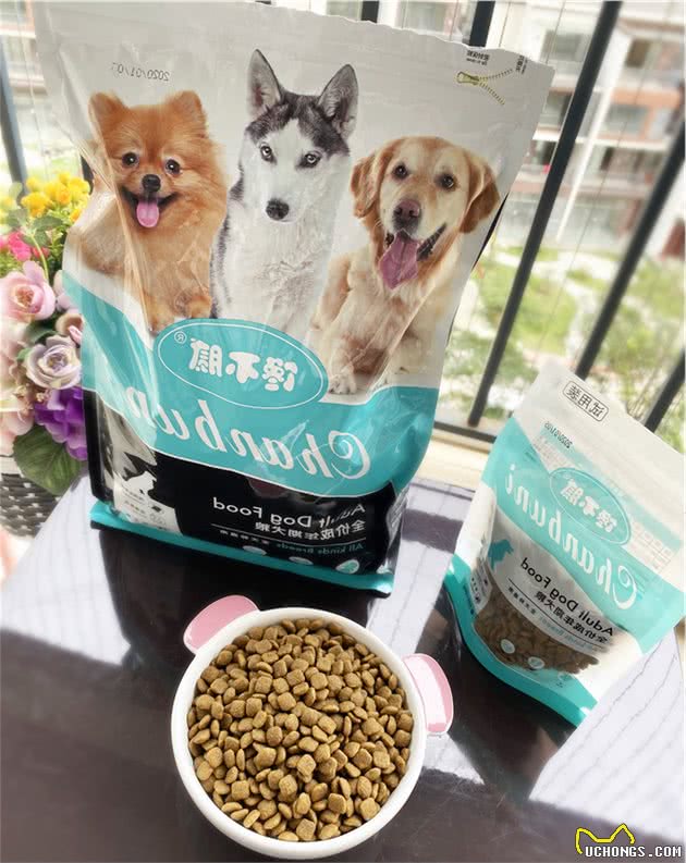 泰迪犬吃什么狗粮好？