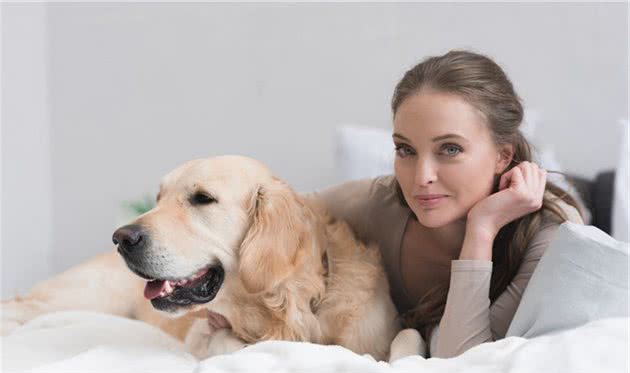 宠物犬牙齿疾病的防治对策铲屎官们你们知道吗？