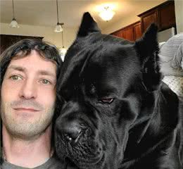 养了一只猛犬，头比主人还大！但狗狗跟女主人玩耍超温柔小心