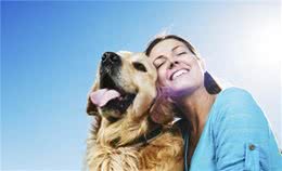 狗常见的几个坏习惯，不纠正会有大麻烦，你家狗狗有这些坏习惯吗