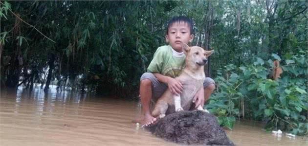 小男孩的房子被水冲走了，他抱着狗狗逃生，眼前画面太让人感动了