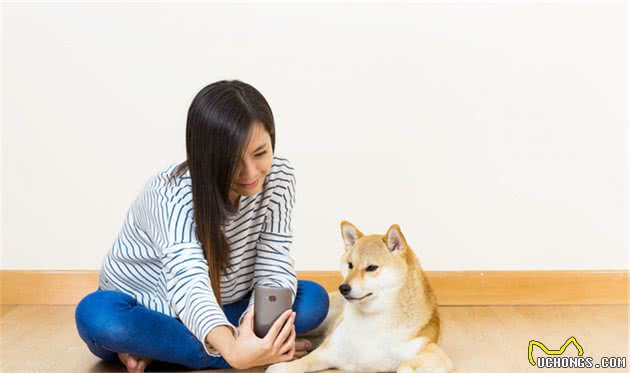 新狗新家新主人，如何温馨有爱？铲屎官的陪伴对狗狗来说很重要