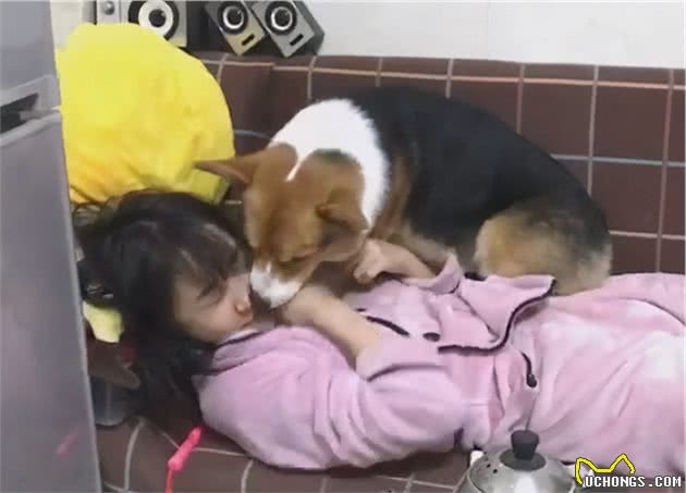 为什么狗界也有重女轻男？会更喜欢女主人呢