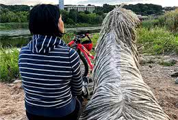 河里会游泳的拖把是它？可蒙犬一身天然吉利服，古时曾令狼群绝迹