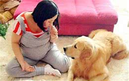 为何宠物更爱接近孕妇？准妈妈身上的特别之处，很有“吸引力”