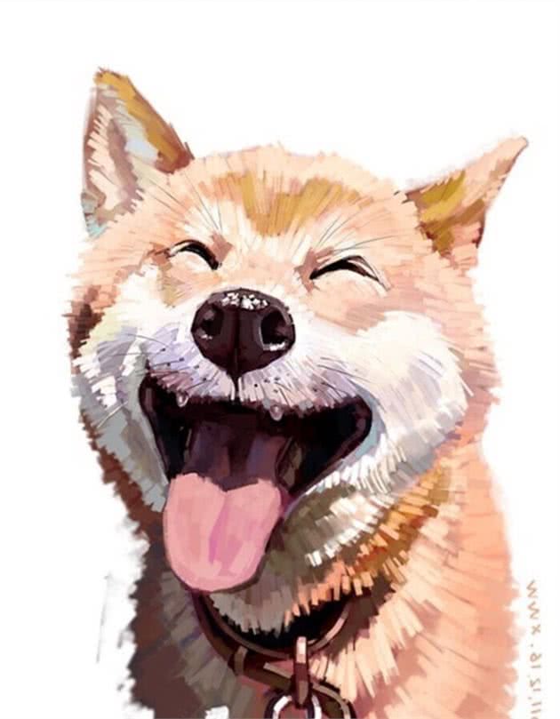 狗狗牙齿常见问题，你家狗狗有这些吗