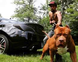 一只忠心的狗狗，都会有这些特征，全中说明没白养