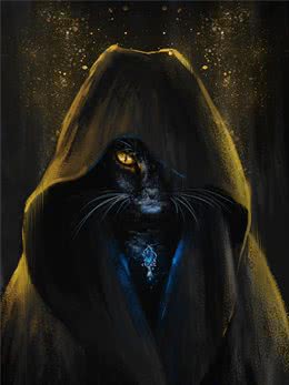 黑猫是通灵辟邪，还是阴邪招鬼？