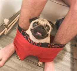 不管是洗澡还是上厕所，狗狗都紧紧跟着你，都是因为这6点