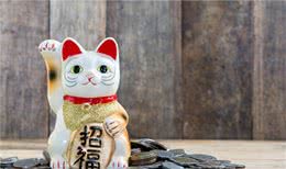 原来风靡全球的招财猫源于这只萌宠！知道真相的你有被萌到吗
