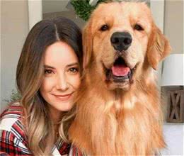 狗狗对你做这些动作，是觉得你“靠谱”