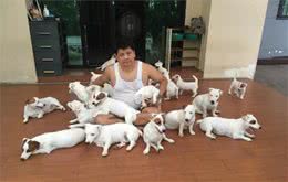 男子一口气养了20只狗，把整张床都铺满了：连买被子的钱都省了