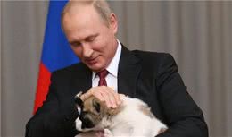 养狗一定要准备的8种东西，宠主须知