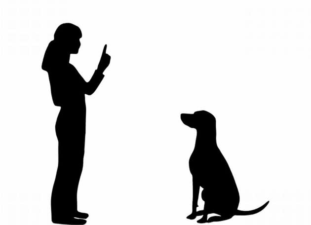 狗狗护家心切，甚至是主人拿家里东西时都要狂叫！怎么办？