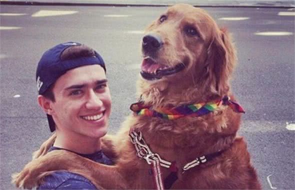 金毛犬有这4个坏习惯，主人绝对不能惯着！往后很难改了
