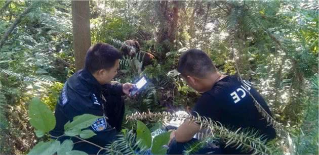 训导警犬，就跟培养孩子一样，要有爱心、耐心