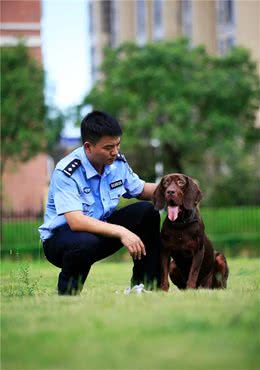 训导警犬，就跟培养孩子一样，要有爱心、耐心